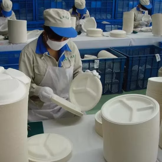 Einwegschüssel, Becher, Teller, Zuckerrohr, Bagasse, Holzzellstoff, Papierzellstoff, Formgeschirrmaschine