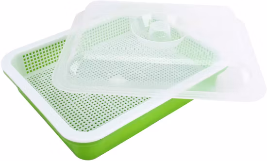 Thermoform-Form, flaches Tablett, Samen-Starter-Spritzgussform, Hydrokultur-Tablett-Form