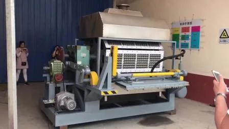 Hochwertige automatische Papierzellstoff-Eierablageformmaschine